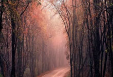 亿万28官网注册-关于赛前突围战来临，巴黎圣日耳曼围绕中超豪取连胜，气氛紧张，赛程密集仍需轮换的信息-亿万28官网注册